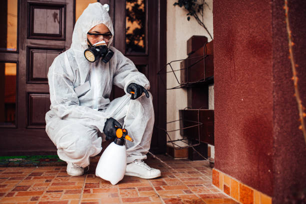Reliable Wasp Removal contractor in Gladstone, MO by Show Me Pest Control